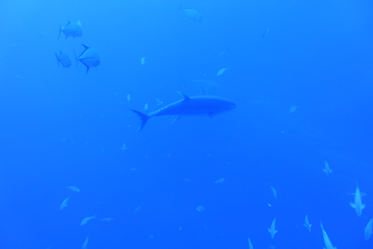 DSC00258.JPG