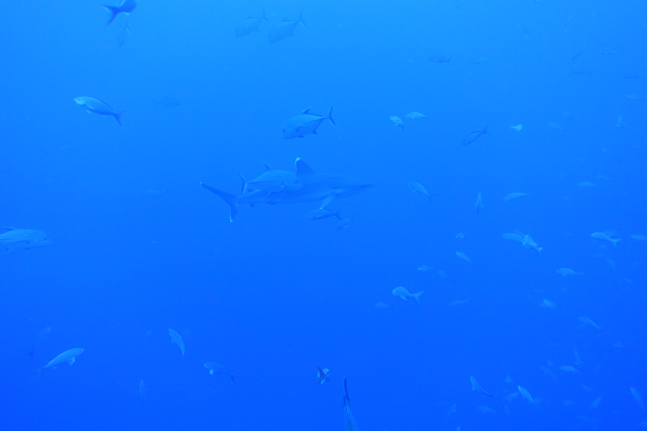 DSC00260.JPG