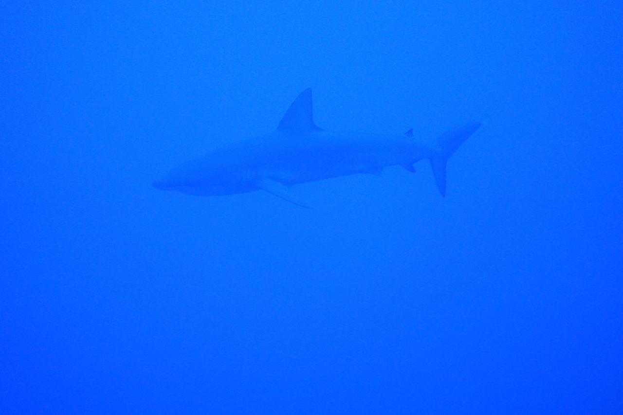 DSC00295.JPG