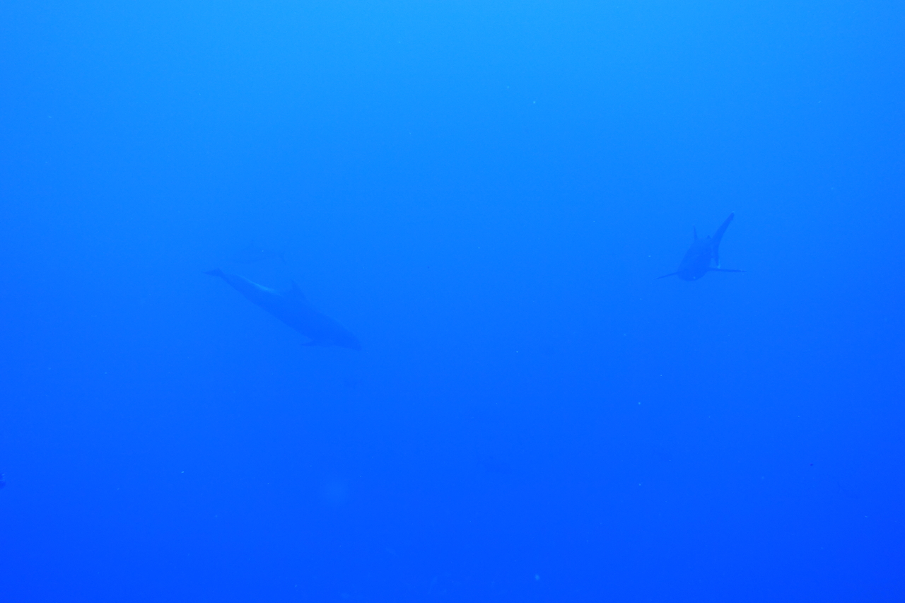 DSC00314.JPG