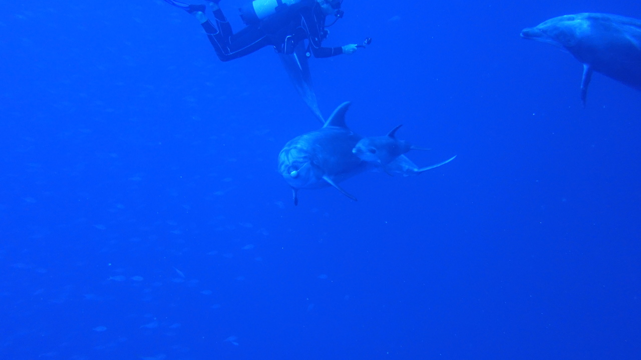 DSC00318.JPG