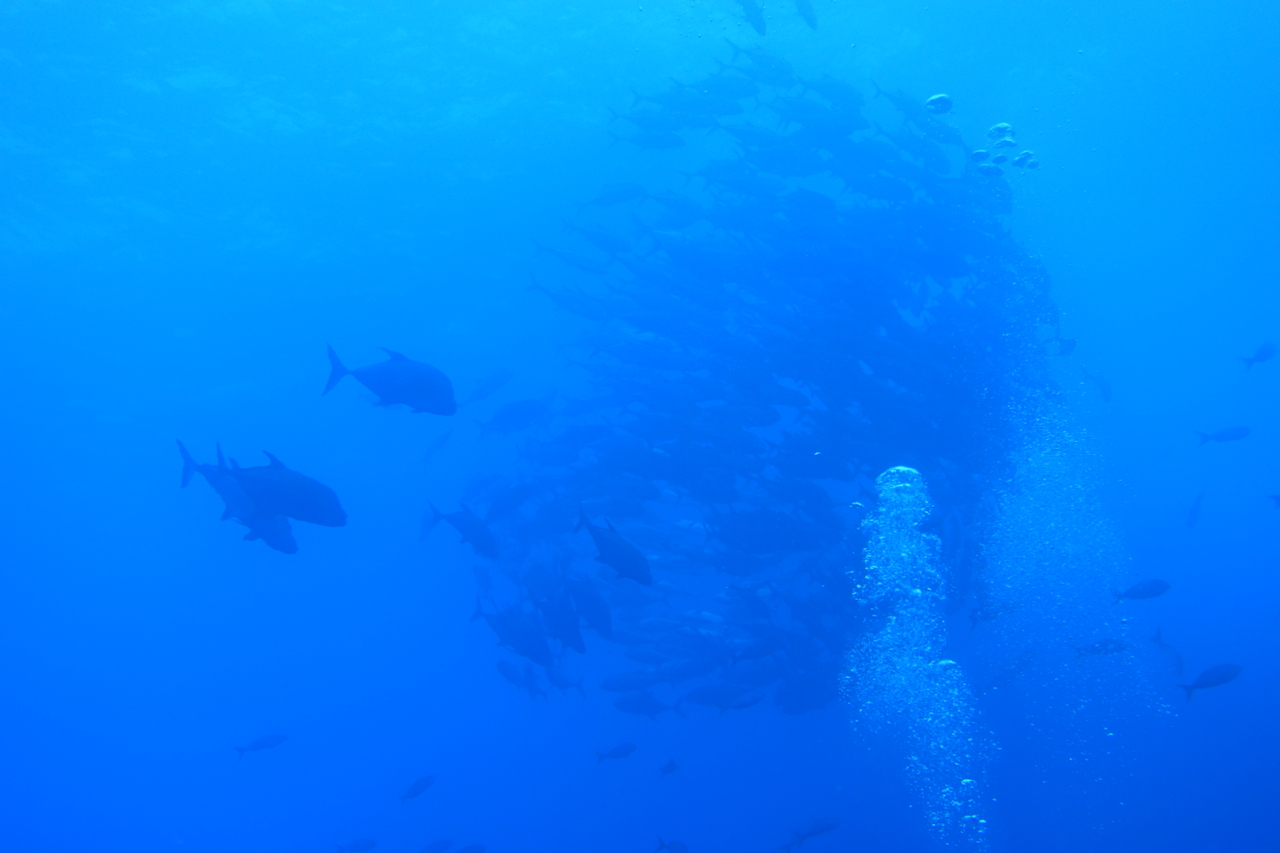 DSC00343.JPG