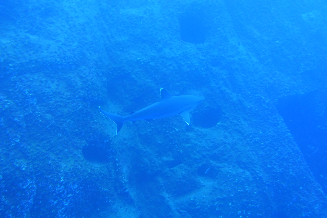 DSC00351.JPG