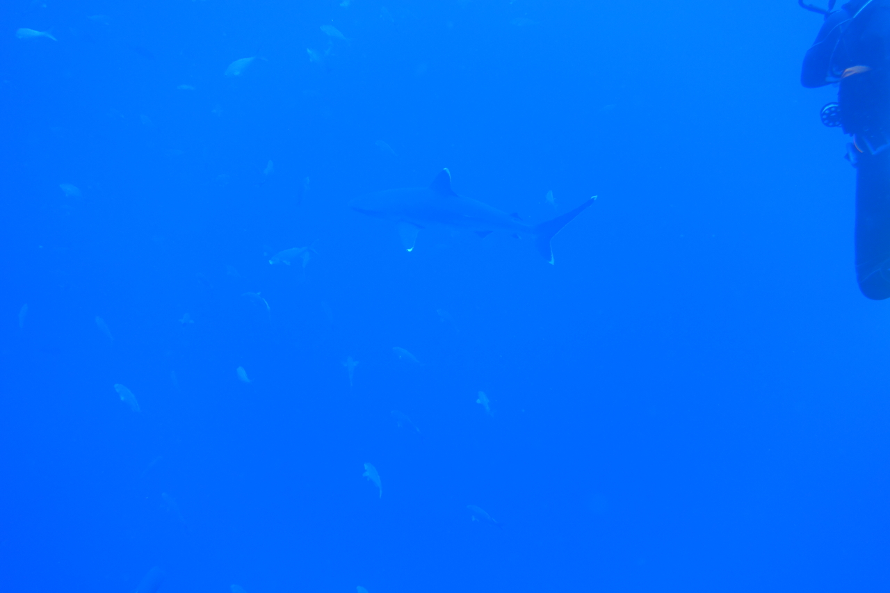 DSC00355.JPG