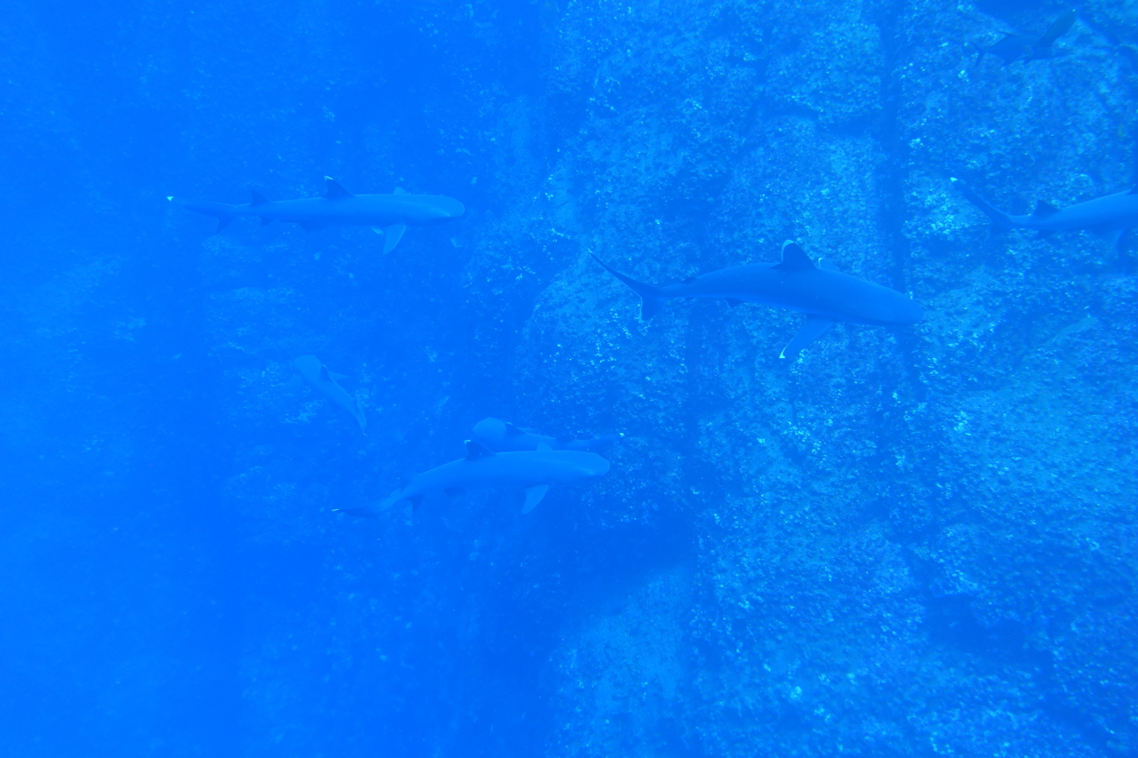 DSC00361.JPG