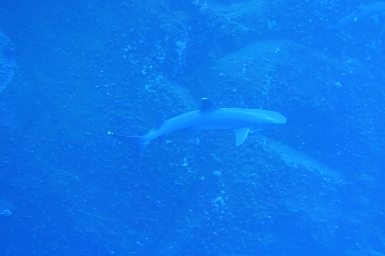 DSC00363.JPG