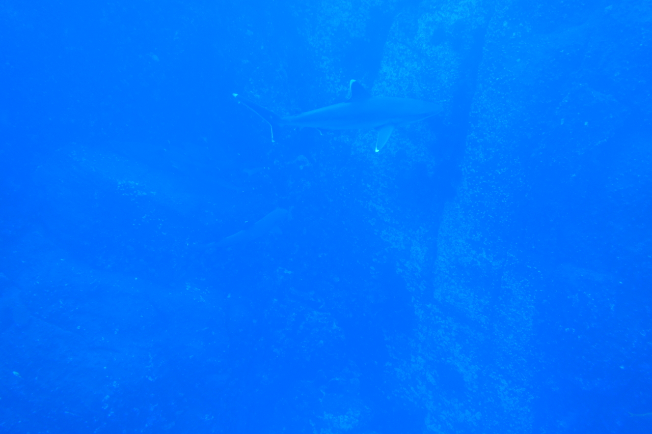 DSC00365.JPG