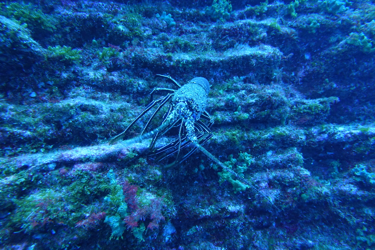DSC00378.JPG