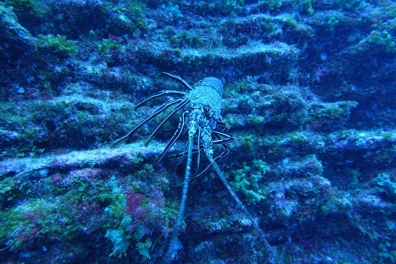 DSC00379.JPG