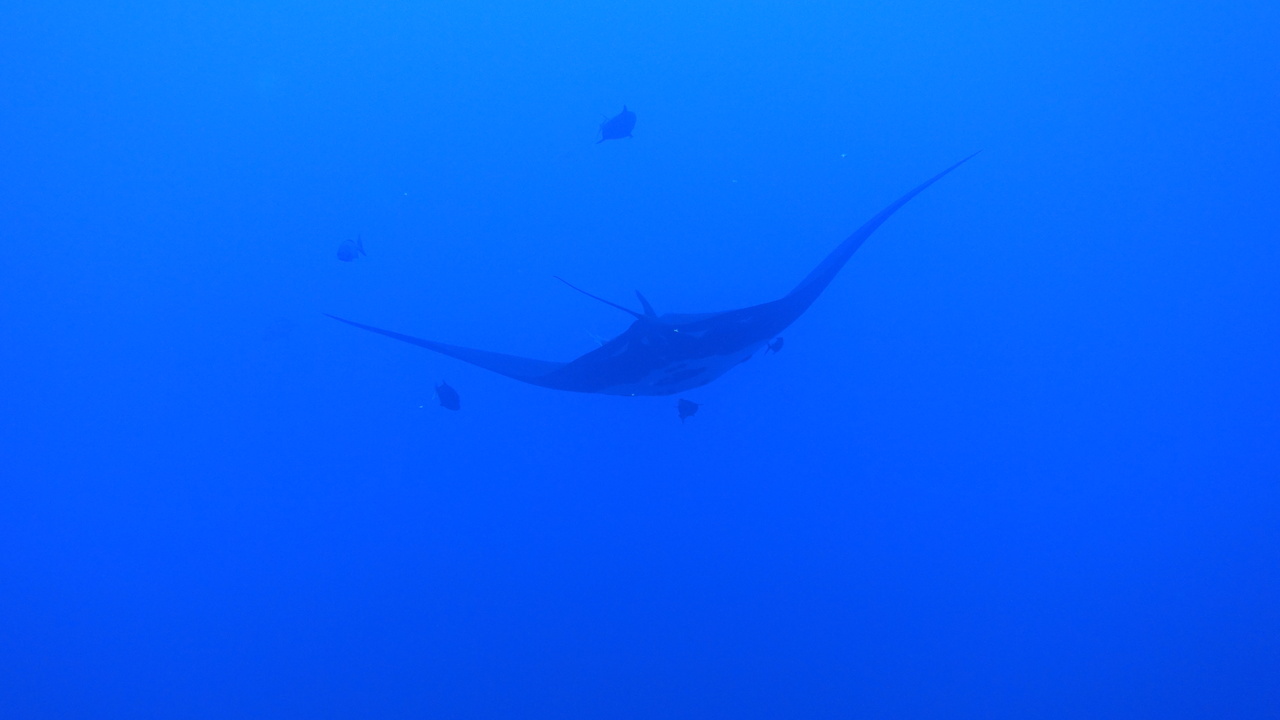 DSC00384.JPG