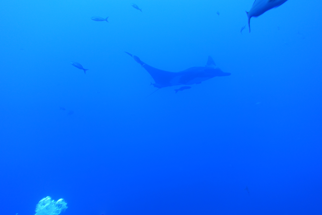 DSC00385.JPG