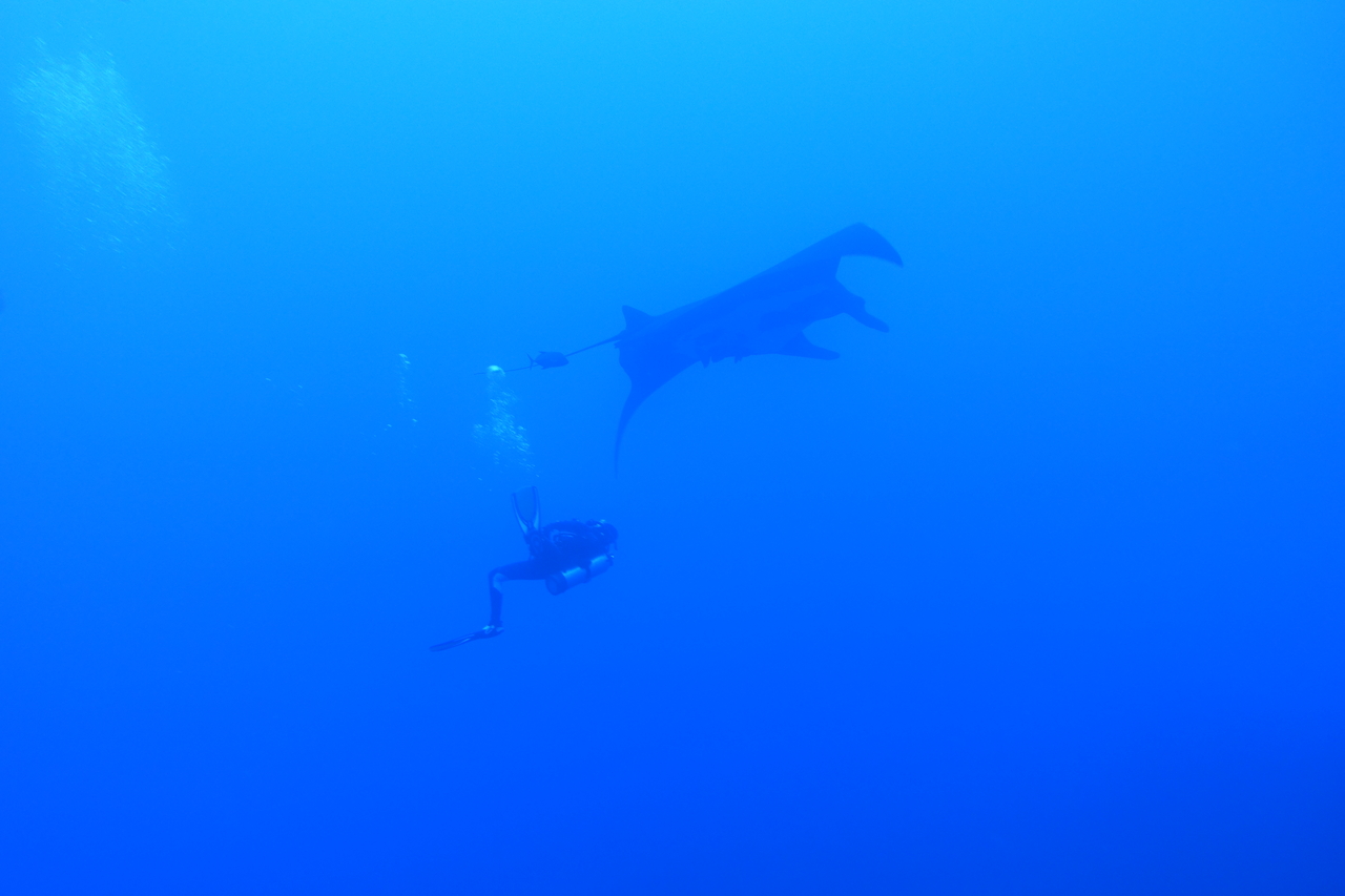 DSC00389.JPG
