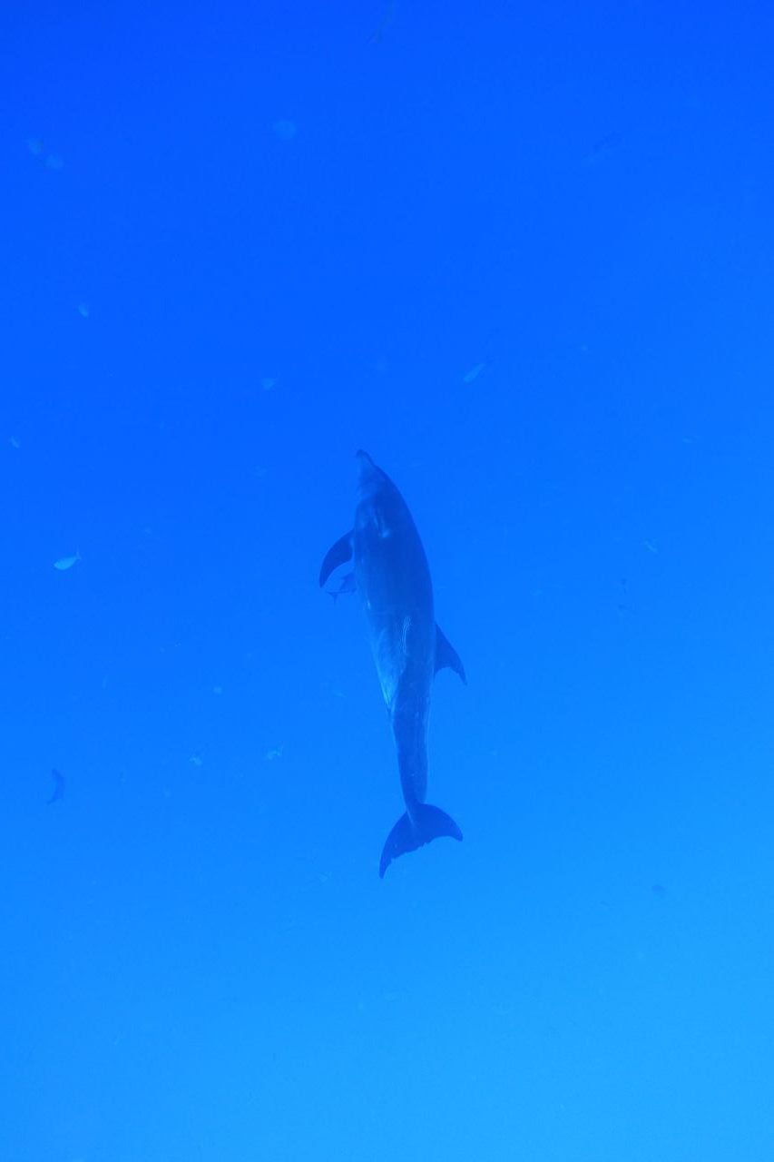 DSC00415.JPG