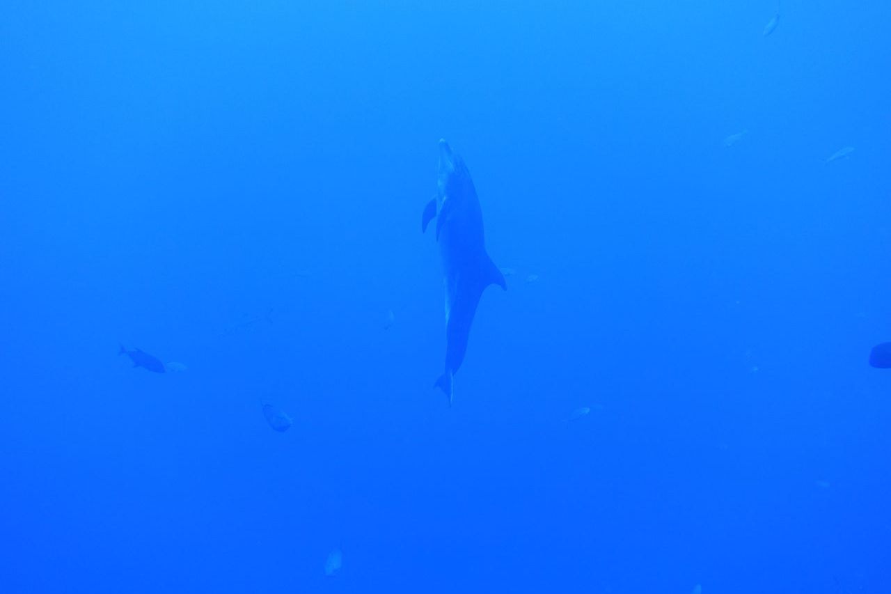 DSC00416.JPG