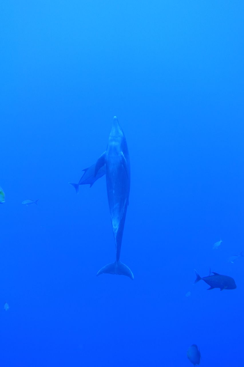 DSC00418.JPG