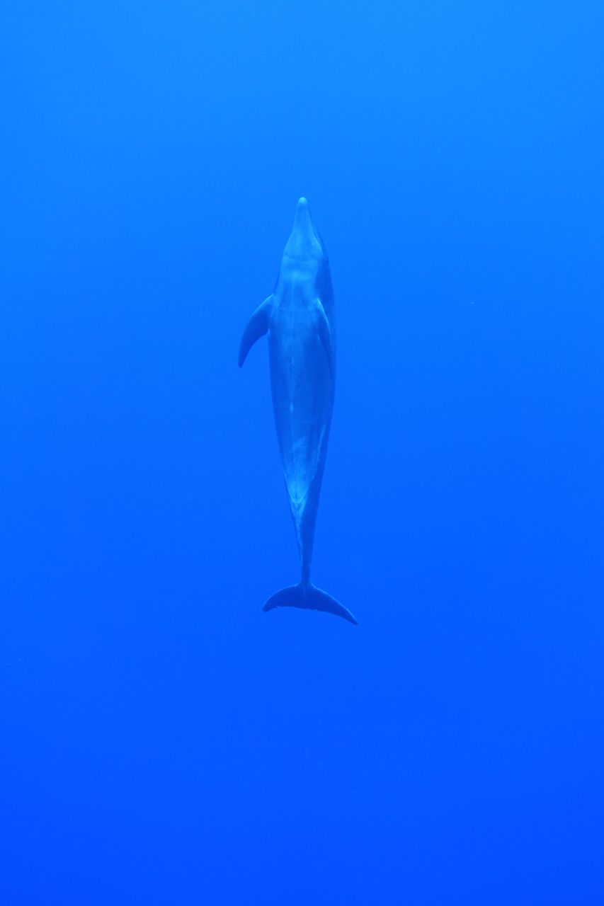 DSC00424.JPG