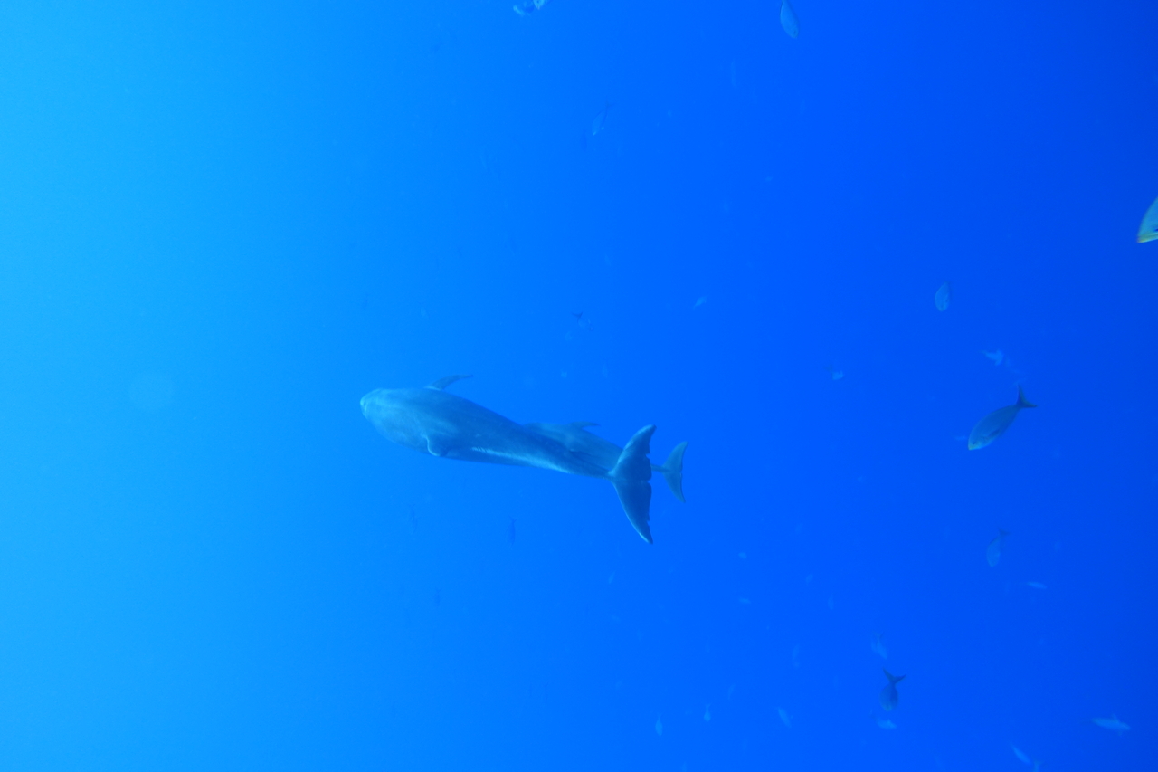 DSC00429.JPG