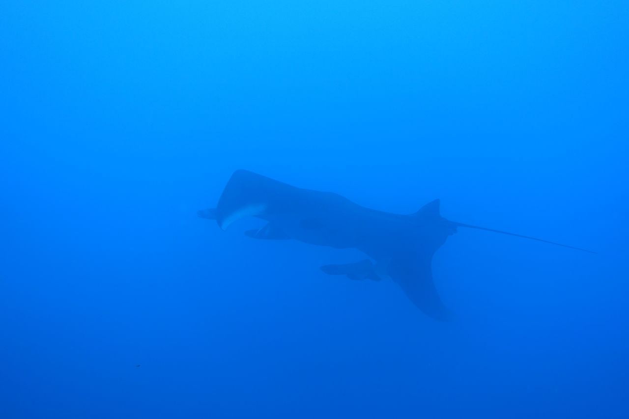 DSC00434.JPG