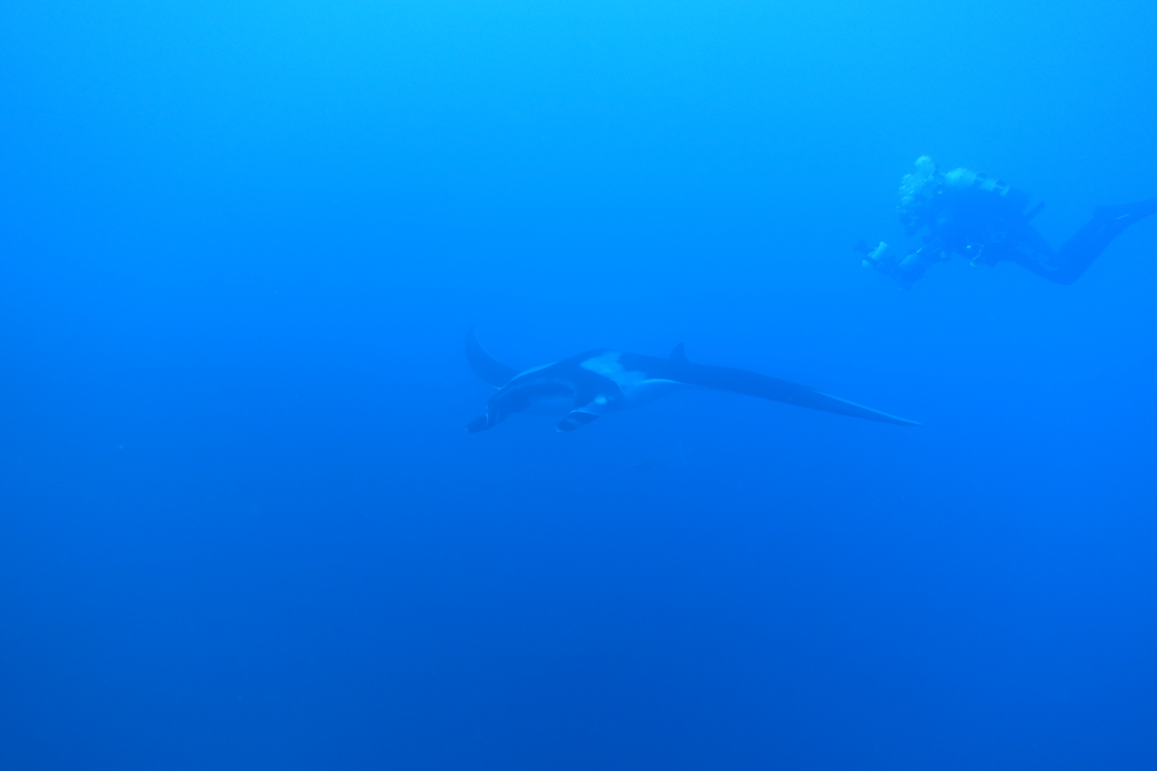 DSC00459.JPG