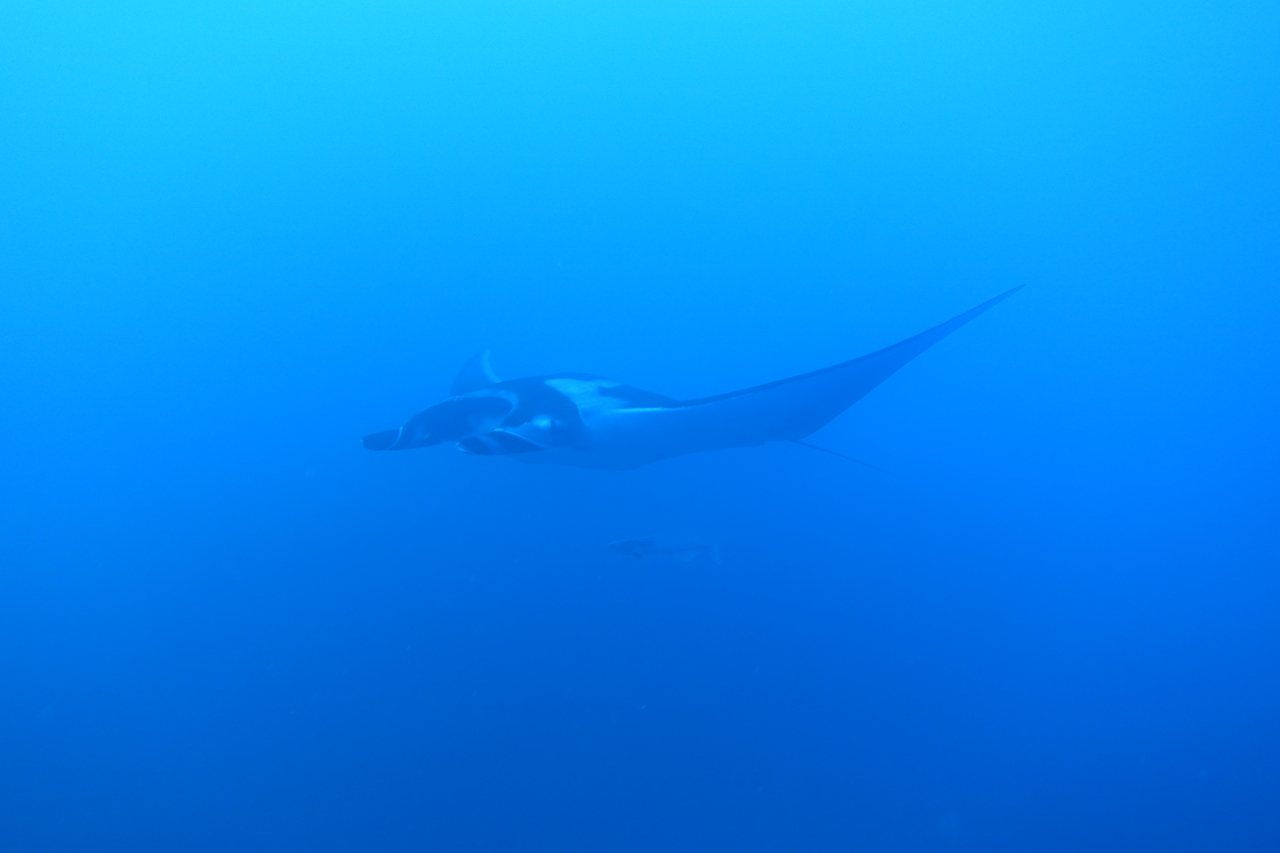 DSC00460.JPG