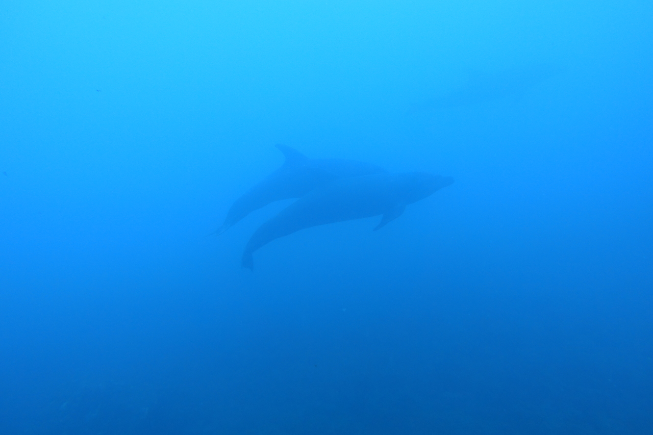 DSC00504.JPG