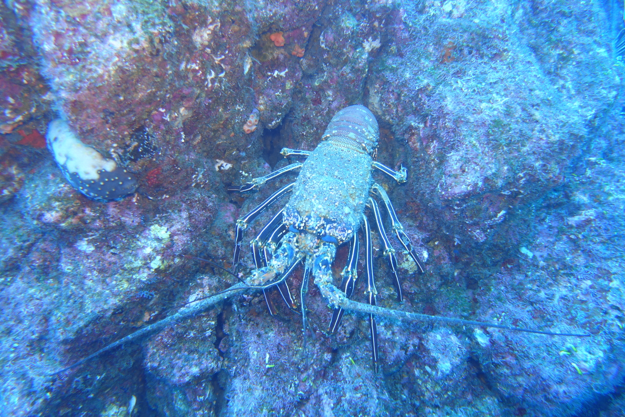 DSC00505.JPG