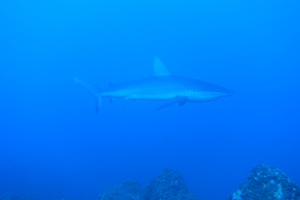 DSC00513.JPG