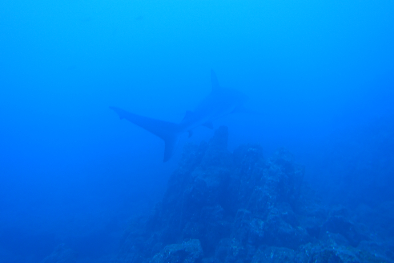 DSC00516.JPG