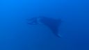 DSC00067.JPG