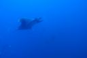 DSC00071.JPG