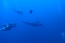 DSC00105.JPG