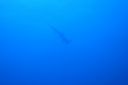 DSC00144.JPG