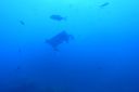 DSC00147.JPG