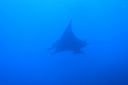 DSC00158.JPG