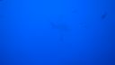 DSC00169.JPG