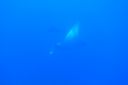 DSC00191.JPG