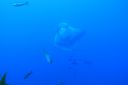 DSC00205.JPG