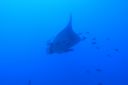 DSC00206.JPG