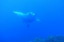 DSC00209.JPG
