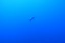 DSC00212.JPG