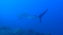 DSC00227.JPG