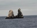 DSC00228-1.JPG