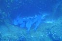 DSC00232.JPG