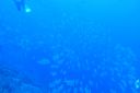 DSC00236.JPG