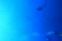 DSC00237.JPG