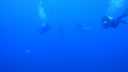DSC00246.JPG