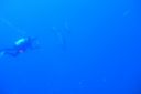 DSC00248.JPG