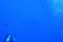 DSC00255.JPG