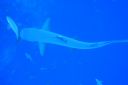 DSC00256.JPG