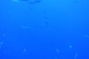 DSC00259.JPG